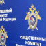 Участки многодетных без инфраструктуры в Буграх заинтересовали Бастрыкина - 47Channel.Ru