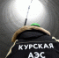 Глава МАГАТЭ заявил об опасности ядерного инцидента в Курской области - 47 новостей