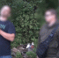 Во Всеволожском районе мужчине предъявлено обвинение в убийстве женщины - Следственный комитет