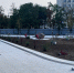 На площади Дрыгина зацветут яблони (ФОТО) - СеверИнформ