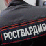В час дня в стельку пьяный мужчина искал партнера для драки - СеверИнформ