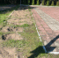 Разыскиваются вандалы, похитившие туи с воинского захоронения в поселке Ольшаники - Online47.Ru