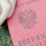 Названы регионы, где уже в осенний призыв разошлют электронные повестки - 47 новостей