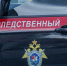 После обнаружения сумки с останками под Всеволожском возбудили дело об убийстве - 47 новостей