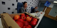 Ленинградская область вышла в лидеры по производству сидра — Олег Малащенко - Online47.Ru