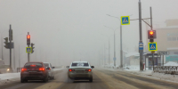 Ленобласть будет в тумане сегодня и завтра - 47 новостей