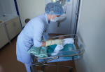 За минувшую неделю в Ленинградском перинатальном центре на свет появилось 77 малышей