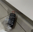 Житель Ленобласти устроил дебош в автосалоне на Кингисеппском шоссе - 47Channel.Ru