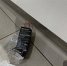 Жителя Ленобласти задержали после попытки поджога автосалона в Петербурге - Online47.Ru