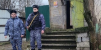 На пожаре в Тихвине спасли женщину с ребенком и двоих котов - 47 новостей