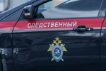 СК РФ прокомментировал дело с дракой, из-за которого Кадыров раскритиковал Бастрыкина