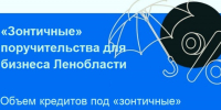 Продлеваются «зонтичные» поручительства Корпорации МСП - Газета Вести