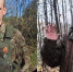 Двое бойцов из Приозерского района погибли в зоне СВО - 47Channel.Ru