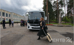В автобусах Ленобласти за год проехали более 30 млн региональных льготников