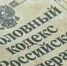 Удар в спину от собственной дочери получила жительница Гатчинского района - ЛенОблИнформ