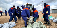 Тонны загрязненного песка и птицы в мазуте. Что происходит на побережье Черного моря после крушения танкеров - 47 новостей