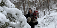 Какой будет погода перед Новым годом в Петербурге и Ленобласти - 47 новостей