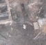 Видео: российский боец ликвидировал шестерых военнослужащих ВСУ на Харьковском направлении - Online47.Ru