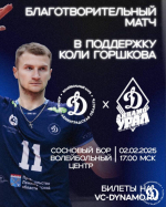 БЛАГОТВОРИТЕЛЬНЫЙ МАТЧ