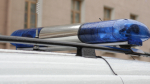 Рыбак вытащил труп из пруда в Новом Девяткино