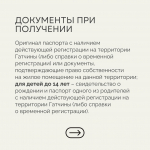 Жители Гатчины с 1 марта могут оформить абонемент в Дворцовый парк