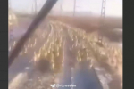 Поезд пролетел сквозь стадо краснокнижных антилоп в Забайкальском крае. Машинисты уже не могли затормозить