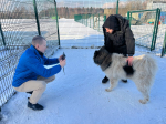 Трех собак Мультицентра во Всеволожске внесли в единый реестр