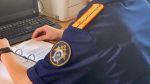 В Кингисеппском районе мигрант пытался дать взятку полицейскому