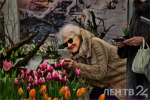 «Сиреневая терапия»: новую цветочную экспозицию можно посмотреть в Ботаническом саду