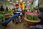 «Сиреневая терапия»: новую цветочную экспозицию можно посмотреть в Ботаническом саду