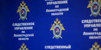 В Выборгском районе Ленинградской области иностранный гражданин подозревается в покушении на дачу взятки сотруднику полиции - Следственный комитет