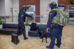 В Петербурге росгвардейцы и полицейские задерживали в ПВС условных преступников