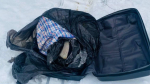 Чемодан с человеческими останками обнаружен в Рыбацком
