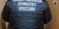 «Ударил ногой и применил удушающий». Расчленившему обидчика Лолиты-Аркадия в Мурино предъявлено убийство - 47 новостей