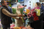 Цена как у роз. Сколько реально стоят тюльпаны из Ленобласти