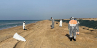 На берегах Анапы находят новые выбросы мазута - 47 новостей