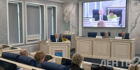 Депутаты Петербурга и Ленобласти обсудили результаты введения туристического налога - Законодательное собрание ЛО