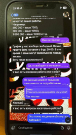 «Это точно не деньги обманутых бабушек?». Как в Петербурге мошенники уговорили парня из Гатчины на «подработку»
