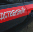 СК исследует скелет, найденный в садоводстве под Гатчиной - 47 новостей