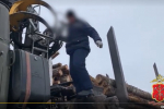 По 4000 рублей с человека. Как иностранцев-нелегалов оторвали от пилорамы под Бокситогорском
