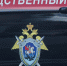 Смерть пятиклассницы в Гатчине изучают в уголовном деле - 47 новостей