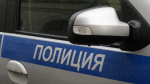 Курьера-москвича задержали за растление девочки из Ленобласти
