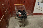 Пенсионера с продуктовой тележкой с частями тела остановили в Петербурге