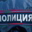 Кости человека нашли около детского сада в Кингисеппе - 47 новостей