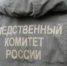 Сразу два уголовных дела завели после сообщений об агрессивных собаках - ЛенОблИнформ