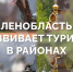 Нацпроект «Инфраструктура для жизни»: Тихвин получит поддержку для развития туризма - Единая Россия