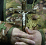Священников на СВО наделят статусом ветерана боевых действий - 47 новостей