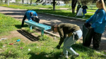 Более 400 тысяч жителей Ленобласти приняли участие в субботниках