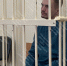 фото Объединенной пресс-службы судов Петербурга - 47 новостей