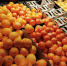 Врач посоветовала есть весной продукты с антиоксидантами - 47 новостей